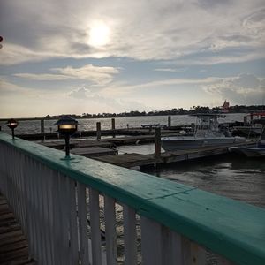 Meet your Posher, Beavis ann